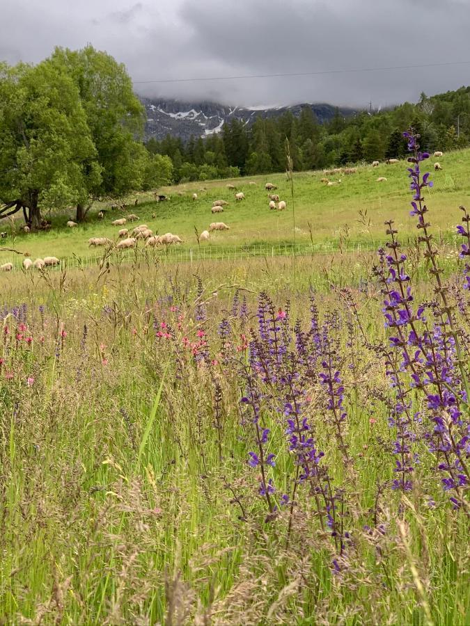 Hotel L'Equipe Le Sauze Eksteriør bilde